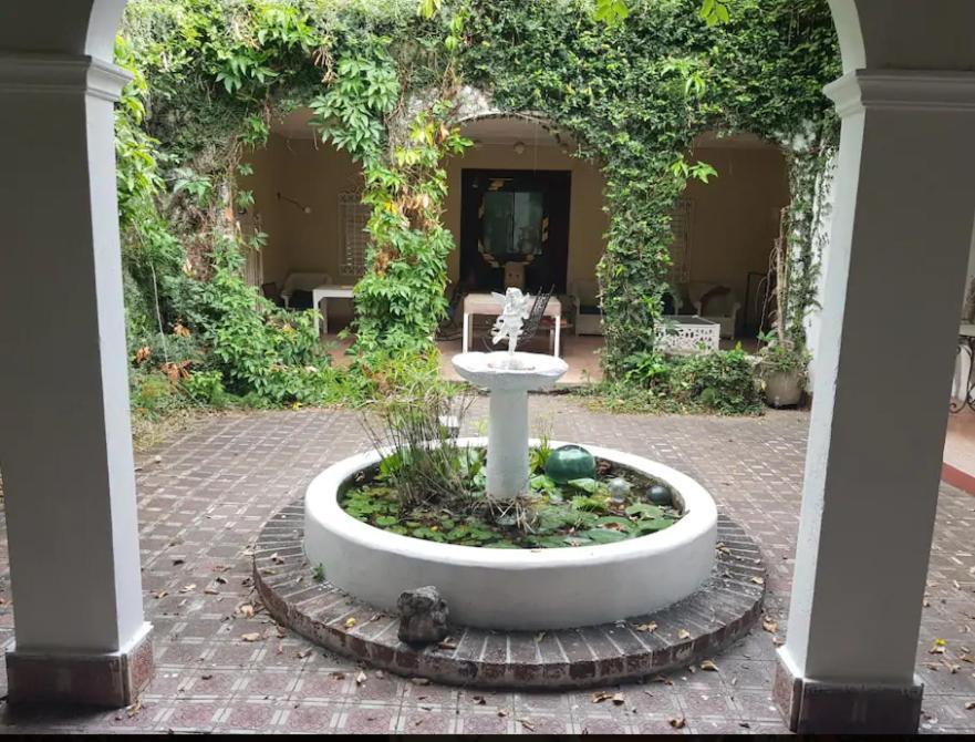 Devon Estate Apartment Kingston Ngoại thất bức ảnh